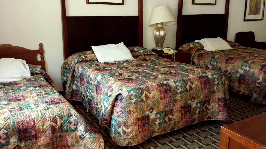 Executive Inn & Suites 레이크뷰 객실 사진