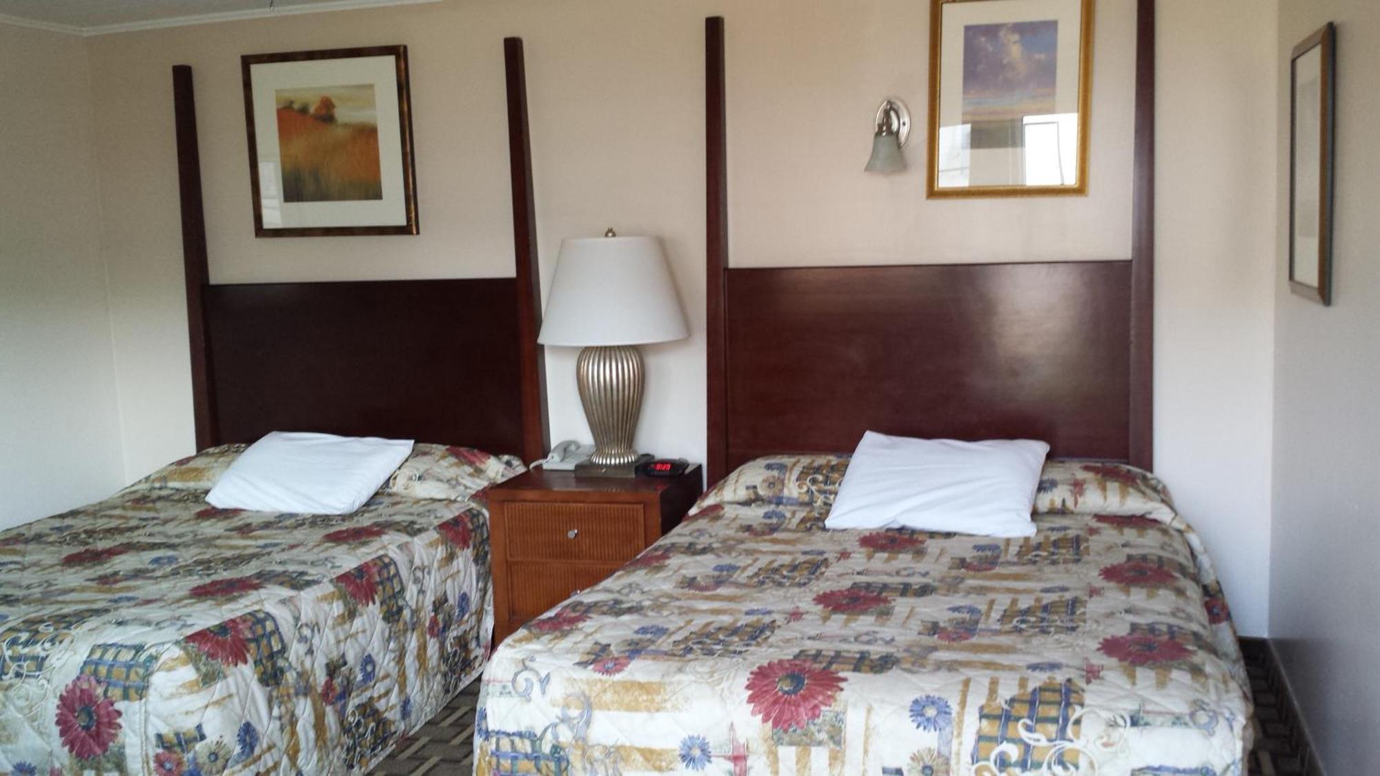 Executive Inn & Suites 레이크뷰 객실 사진