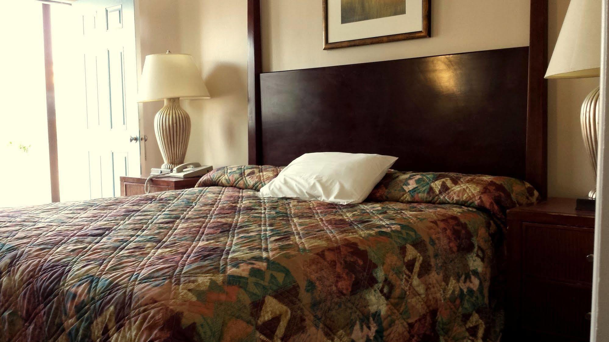 Executive Inn & Suites 레이크뷰 외부 사진